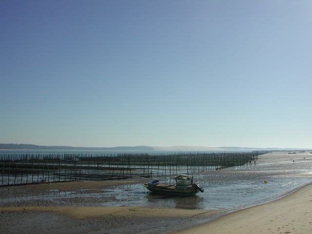 Arcachon bay