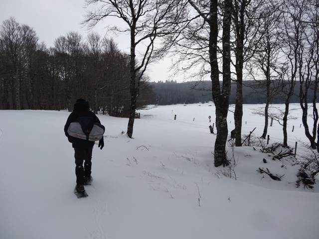Aubrac sneeuwwandelen