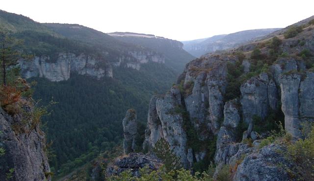 Gorges de la Jonte