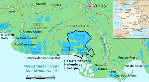 camargue
