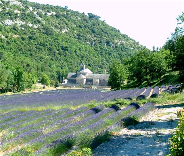 Luberon, Fontaine de Vaucluse